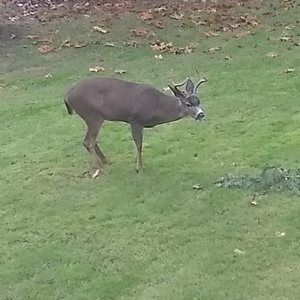 Meet your Posher, Jayne